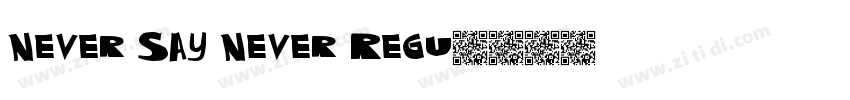 Never Say Never Regu字体转换
